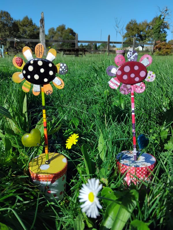 Les marguerites