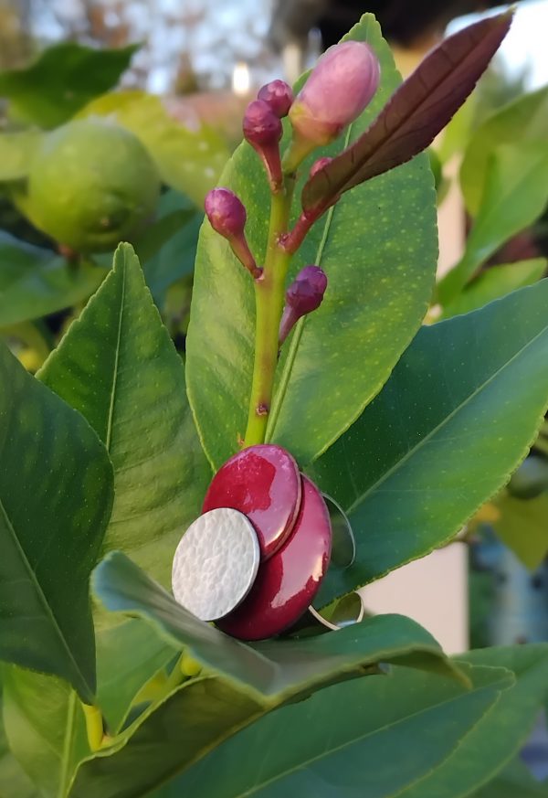 La framboise – Image 3
