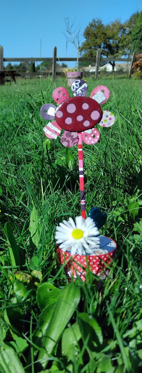 Les marguerites – Image 2
