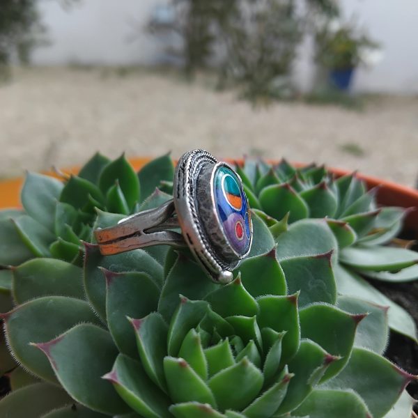L&rsquo;orange bleue